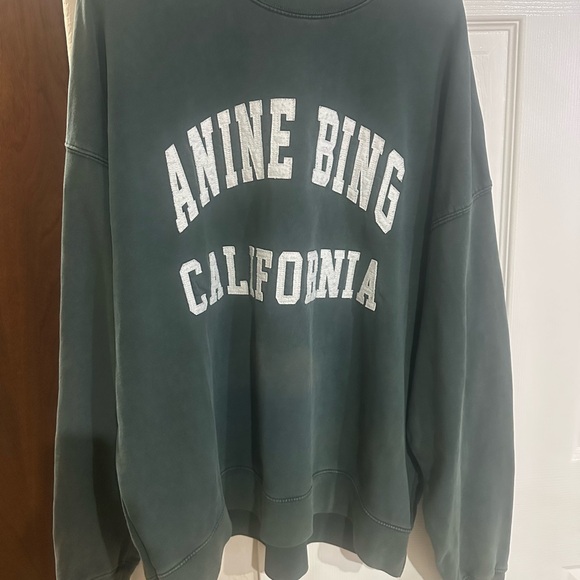Anine Bing “Miles” Green Crewneck oversized distressed - Picture 2 of 15